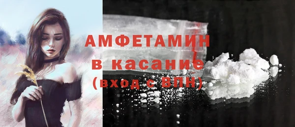 крисы Каменка