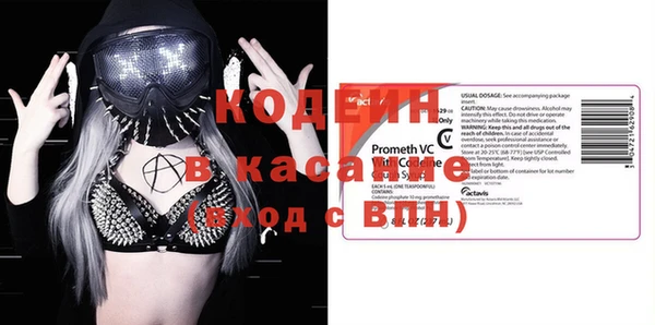 крисы Каменка