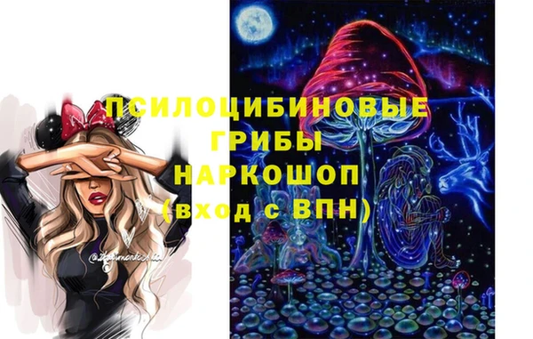 индика Сафоново