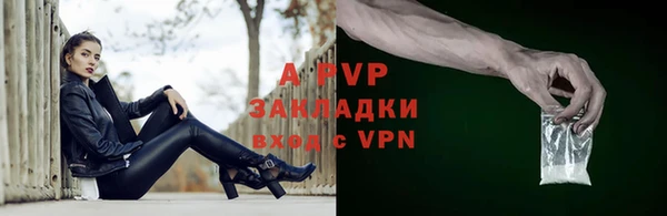 крисы Каменка